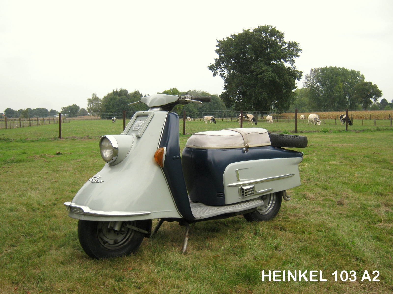 3-heinkel-3